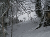 balade-du-sotre-19011113