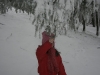 balade-du-sotre-19011114