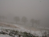 2-premiere-neige-07102011