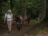Randonnée itinérante de Deycimont au Hohneck en 4 jours avec les ânes bâtés - Refuge du Sotré.