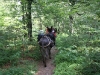Randonnées avec les ânes bâtés dans la forêt de la Schlucht et des 3 fours - Refuge du Sotré.
