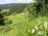 Vacances dans les Vosges au Refuge du Sotré !