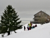 raBalade et randonnée en raquettes à neige dans les Vosges avec le Refuge du Sotré !