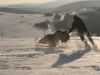 Imaginer l'impossible et partir en fauteuil ski avec nos accompagnateurs ! (Crédit photo : Refuge du Sotré / Jean-Marie Haton / Yannick Holtzer)