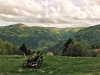 Balade en fauteuil tout terrain électrique WATT'S !