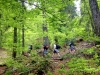 Randonnée et bivouac en pleine nature !