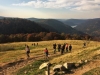 Les équipes de la Chambre d'Agriculture des Vosges en séminaire au Refuge du Sotré