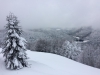 Ecole maternelle Eugène Rossignol (2-2-2018)