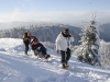 04121049