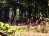 Découverte des Hautes Vosges en fauteuil tout terrain CIMGO et en trottinette !