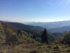 Découverte des Hautes Vosges en fauteuil tout terrain CIMGO et en trottinette !