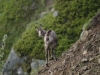 Loisirs et vacances pour enfants dans les Vosges... au Refuge du Sotré !