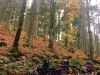 Séjours vacances handicap dans les Vosges... au Refuge du Sotré !