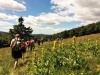 Séjours scolaires dans les Vosges au Refuge du Sotré !