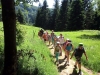 Séjours scolaires dans les Vosges au Refuge du Sotré !