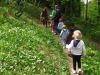 Séjours scolaires dans les Vosges au Refuge du Sotré !