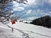 Séjours scolaires dans les Vosges au Refuge du Sotré !