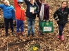 Activité land art pour découvrir autrement la nature !