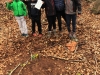 Activité land art pour découvrir autrement la nature !