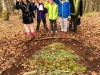 Activité land art pour découvrir autrement la nature !