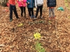 Activité land art pour découvrir autrement la nature !