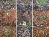 Activité land art pour découvrir autrement la nature !