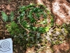 Activité land art pour découvrir autrement la nature !