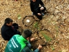 Activité land art pour découvrir autrement la nature !