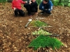 Activité land art pour découvrir autrement la nature !