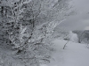 balade-du-sotre-20011125