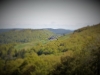 Paysages du Refuge du Sotré et du Massif des Vosges en toutes saisons !