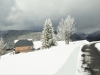 Paysages du Refuge du Sotré et du Massif des Vosges en toutes saisons !