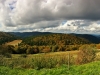 Paysages du Refuge du Sotré et du Massif des Vosges en toutes saisons !