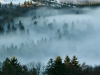 Paysages du Refuge du Sotré et du Massif des Vosges en toutes saisons !