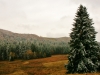 Paysages du Refuge du Sotré et du Massif des Vosges en toutes saisons !