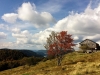 Paysages du Refuge du Sotré et du Massif des Vosges en toutes saisons !