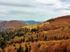 Paysages du Refuge du Sotré et du Massif des Vosges en toutes saisons !