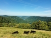 Paysages du Refuge du Sotré et du Massif des Vosges en toutes saisons !