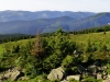 Paysages du Refuge du Sotré et du Massif des Vosges en toutes saisons !