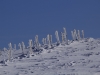 Paysages du Refuge du Sotré et du Massif des Vosges en toutes saisons !