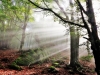 Paysages du Refuge du Sotré et du Massif des Vosges en toutes saisons !