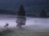 Paysages du Refuge du Sotré et du Massif des Vosges ePaysages du Refuge du Sotré et du Massif des Vosges en toutes saisons !