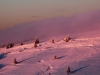 Paysages du Refuge du Sotré et du Massif des Vosges en toutes saisons !