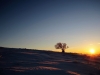 Paysages du Refuge du Sotré et du Massif des Vosges en toutes saisons !