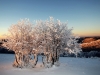 Paysages du Refuge du Sotré et du Massif des Vosges en toutes saisons !