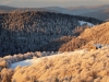 Paysages du Refuge du Sotré et du Massif des Vosges en toutes saisons !