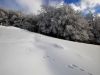 Paysages du Refuge du Sotré et du Massif des Vosges en toutes saisons !