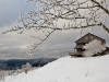 Paysages du Refuge du Sotré et du Massif des Vosges en toutes saisons !