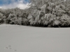 Paysages du Refuge du Sotré et du Massif des Vosges en toutes saisons !