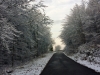 Paysages du Refuge du Sotré et du Massif des Vosges en toutes saisons !